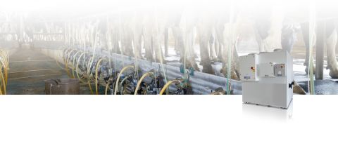 milking machine with chiller application, chillers for milk, chillers for dairy, dairy farming temperature control